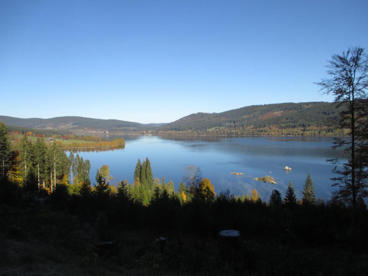 Haus Steininger Lejlighed Schluchsee Eksteriør billede
