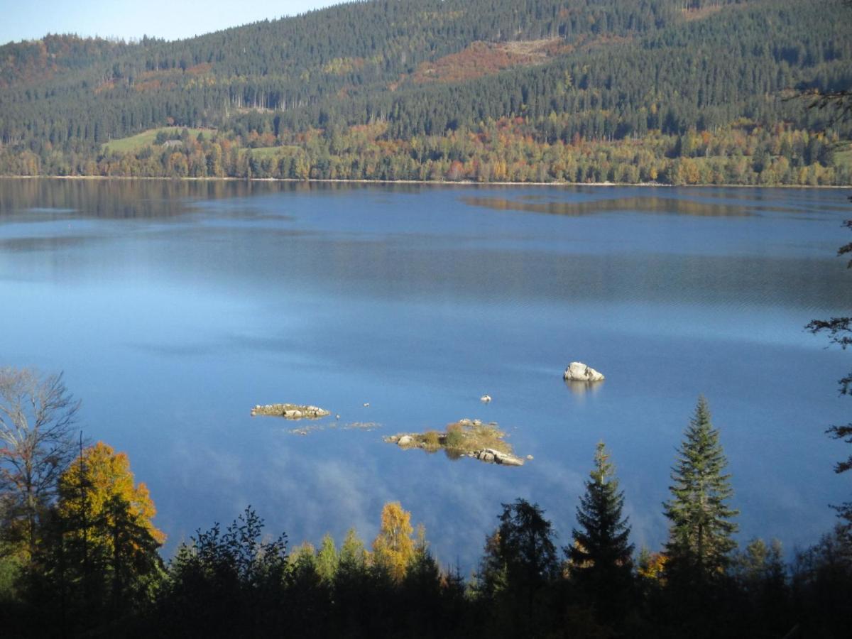 Haus Steininger Lejlighed Schluchsee Eksteriør billede